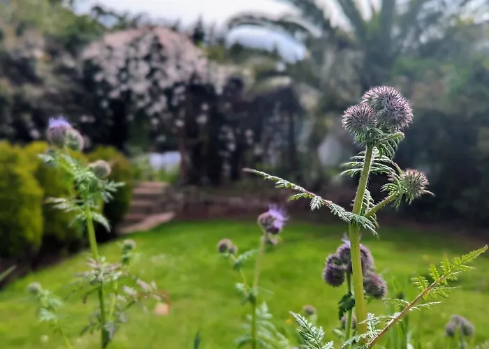 Best Torquay Hotels for Coastal Getaways